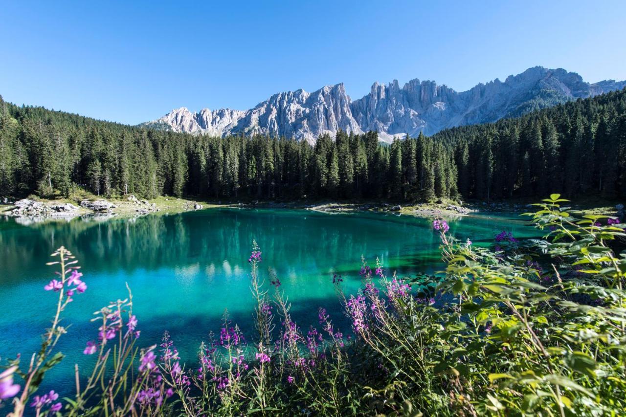 Costalungahouse Trekkingbikeski Selfcheck-In Apartment Carezza al Lago Esterno foto